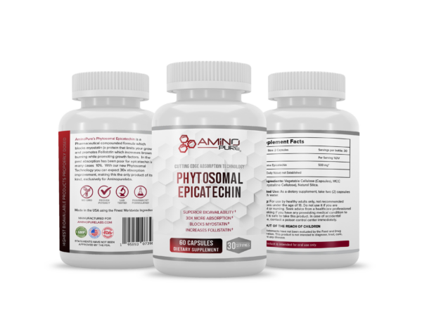 PHYTOSOMAL EPICATECHIN 500mg